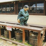 거제도 포로수용소 유적공원~♥ 거제, 여행지,  관광지, 가볼만한 곳 | 여행지, 여행