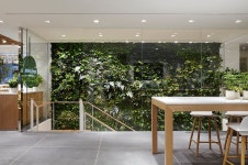 이니스프리 명동 플래그십 스토어 -innisfree Flagship Store Open in Myeongdong | 수직정원, 카페 디자인, 인테리어