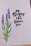 수채화 캘리그라피 라벤더 [서울 노원구 중랑구 도봉구 별내 의정부 캘리그라피] : 네이버 블로그 | 손글씨, 꽃 카드, 사랑 카드