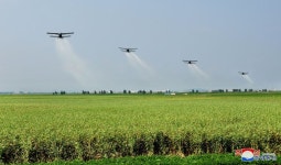 신도군에서 비행기에 의한 2차 갈밭비료산포 진행