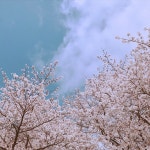 너는 참 예쁘다. 생각도 마음도 사람도. 그래서 너의 연기도 항상 좋은가보다. 너가 더 알았으면 좋겠다. 얼마나 좋은 사람인지 좋은 배우인지.... 