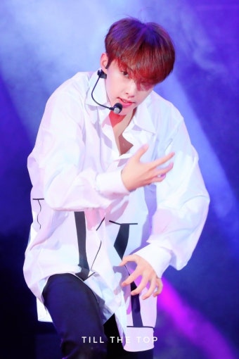 190629 SEVENTEEN at Park Concert | 콘서트