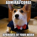 Welsh Corgi에 있는 MuSeup Choi님의 핀