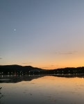 산책중 한컷