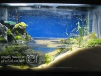 more_travel_img | 수족관