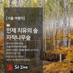 도톰한 겉옷, 등산화, 따뜻한 물, 간식, 카메라 [장소, 시간] 강원도 인제군 인제읍 원대리 산75-22 운영시간 및 기간 하절기(… | 여행지, 여행, 숲