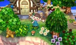 cute foresty house | 숲