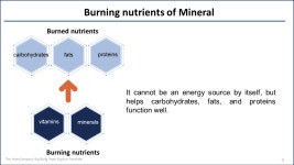 Bio 유기미네랄 휴디아Mineral The 휴앤컴퍼니 뉴트리션 LAB 왜 미네랄을... 휴디아 미네랄의 효능과 특징  #휴앤컴퍼니 #글로벌 #빅뱅팀... 