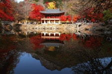 백양사 만추 | House styles, Mansions, House