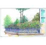 색연필 1 (colored pencil)에 있는 핀