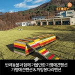 반려동물과 함께 가볼만한 가평애견펜션  서울근교 가평애견펜션... 있는 애견수영장까지  - 애견카페, 브런치서비스, 애견드라이룸,  실내,외... 