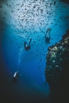 Pin de (Robin) Byungho BAHK en 스쿠버다이빙 (con imágenes) | Buceo, Curso de buceo, Submarino