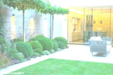 농장이있는 현대식 정원의 개조 및 개조 ... #quotesgenres #readth | Outdoor decor, Outdoor, Decor