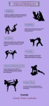Pin by ✰ 𝑳инaч𝒌a 𝑴𝒐𝒚𝒂 ✰ on இ боевые искусства✰무술 in 2020 | Martial arts techniques... 