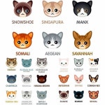 All the cats is my fav But I love Bengal, Siberian and Norwegian, What's yours??? Comment at below -+-+-+-+-+-+-+-+-+-+-+-+-+ Check our...