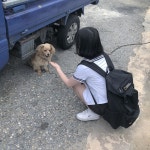Instagram의 김 수연(金 秀縯)님: “학교 앞 댕댕이가 배 까는 과정 🌝🐶” | 개, 학교, 배