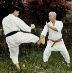 Hohan Soken | 무술