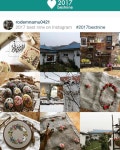 담겼구나~ - - - #로뎀나무 #로뎀나무갤러리 #로뎀나무옷이야기 #작은갤러리 #마당있는집 #귀촌 #시골집 #시골생활 #농가주택 #리모델링 #충북... 