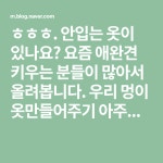 우리집 멍멍이 옷 만들어 주세요(이미지 포함) | 애완견