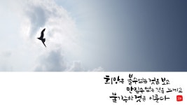캘리그라피,캘리그라피 엽서 Copyrightⓒ Cho-donghwa... me | 엽서, 서체, 강좌 캘리그라피,캘리그라피 엽서... 