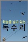 1월 11일 고성 철성중학교 뒤쪽에서 400여마리의 독수리를 만났다.