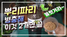 나의 정원~♡에 있는 핀