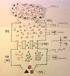 » [개념 정리] 칸트의 선험적 종합판단 - 2020 | 과학철학, 정리, 철학