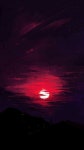 [ 유머 ]에 있는 ◇ SKY님의 핀 | 자연, 창조적인 사진, 디지털 사진