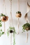 [해외인테리어자료] Macrame 마크라메 행잉플랜트, 식물로 포인트 주기! : 네이버 블로그 | 공중식물, 식물 걸이