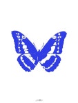 Pin by 향 on 폰꾸 | Art prints, Butterfly wallpaper, Photo wall collage