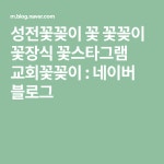성전꽃꽂이 꽃 꽃꽂이 꽃장식 꽃스타그램 교회꽃꽂이 | 꽃꽂이, 꽃장식, 블로그