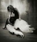 Fallen angel | 천사, 사진, 영감