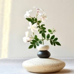 Flowers and Vases에 있는 핀