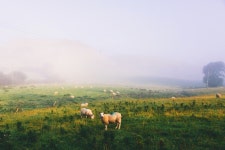 옥사나님이 심미적에 올린 아이디어