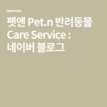 펫앤 Pet.n 반려동물 Care Service : 네이버 블로그 | 블로그
