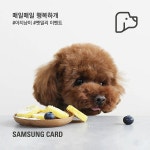 삼성카드 아지냥이 펫밀리 이벤트 보기 아지냥이,펫밀리,삼성카드 | 삼성, 카드, 디자인