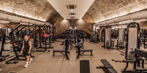 david barton gym - Google Search | 피트니스