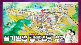 #풍기인삼홍삼센터 #풍기인삼시장 #풍기선비골인삼시장 #풍기토종인삼시장 #소백산인삼시장 풍기인삼 탐구생활 보러가기 ☞ #풍기 #인삼... 