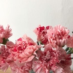 브리즈나인 Floral Design on Instagram: “가까이서 보아도 너무 예쁩니다💕 존재만으로 힐링인 #꽃 ⠀⠀ ⠀⠀ ⠀⠀ #order #lesson 02... 