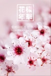 BTS 방탄소년단 Wallpaper 화 양 연 화 The most Beautiful Moments In Life Logo | Bts wallpaper, Cherry blossom wallpaper... 