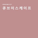 큐브이스케이프