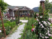 My  garden  나의정원에 있는 ok hwa jang님의 핀