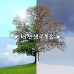 ★ 내 인생 7계절 ★  내 인생의  제1계절은 기쁨의 계절입니다  그때 세상은 나의 탄생으로 새로운 기쁨을 얻었고  나는 많은 분들의 사랑 속에서... 
