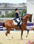 이헌영님이 Dressage에 올린 아이디어 | 마장마술
