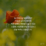[ 오늘하루 ] 늘 반복되는 일상이지만 마음과 생각이 통하여 작은 것에도 웃음을 나눌 수 있는 소중한 사람들을 만날 수 있으니 오늘 하루도... 