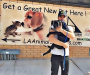 의사양반 on | Chris pine, Pitbulls, Pitbull dog photos