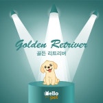 헬로펫 - Google 검색