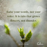 당신의 목소리가 아닌 말을 따르라. 비가 천둥이 아닌 꽃을 피우리 | Calm quotes, Wisdom quotes, Words
