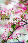 미미송송 - Google+ | 아름다운 꽃 사진, 아름다운 꽃, 꽃 사진