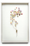 Flower constructions | 압화공예, 압화, 꽃 공예